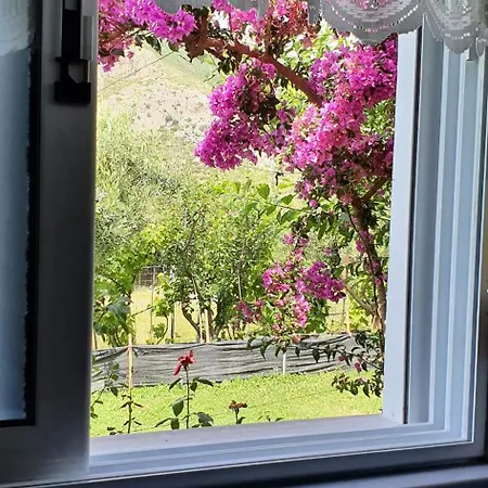 בית נופש Borsh Private House