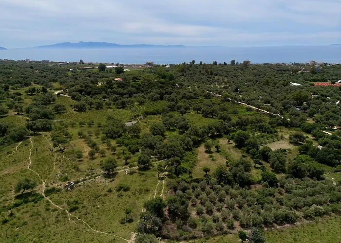 Borsh Private House Tatil Evi