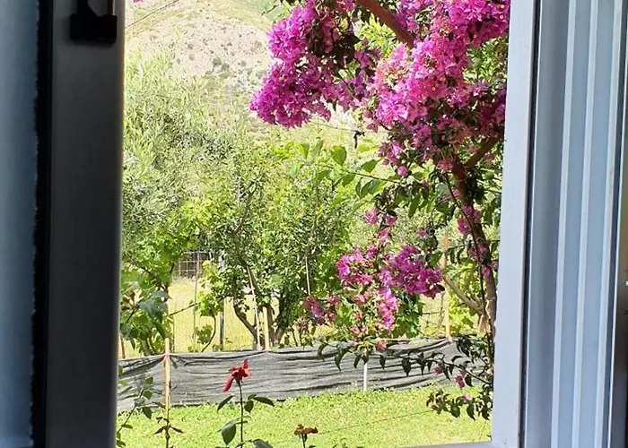 Tatil Evi Borsh Private House